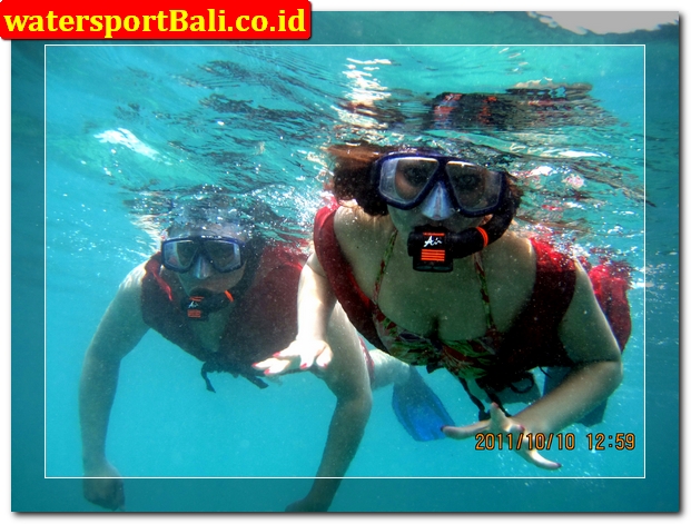 Snorkeling Tanjung Benoa