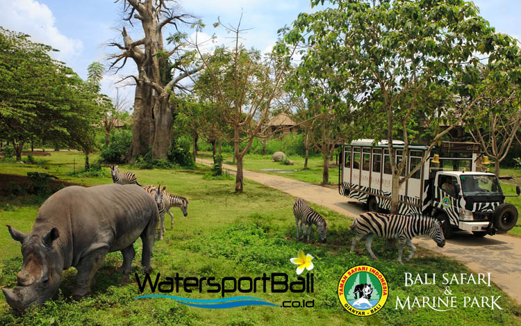 Harga Tiket Masuk Bali Safari and Marine Park