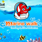 Marine Walk Bali Lembongan