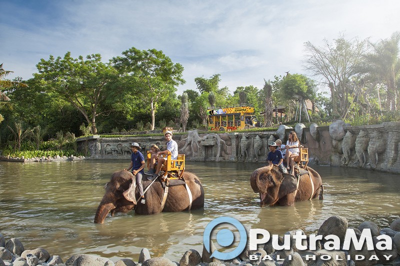 Elephant Expedition Bali Zoo
