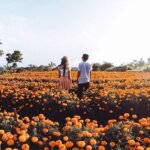 7 Taman Bunga Indah Penuh Pesona di Pulau Dewata