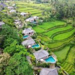 Berikut 9 Kegiatan Seru di Ubud yang Dapat Anda Lakukan Selama Berlibur