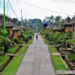 Bosan dengan Suasana Kota? Desa Wisata Ini Cocok buat Dikunjungi saat Liburan ke Bali