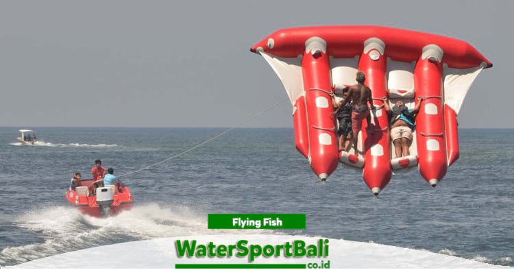 Flying Fish Bali