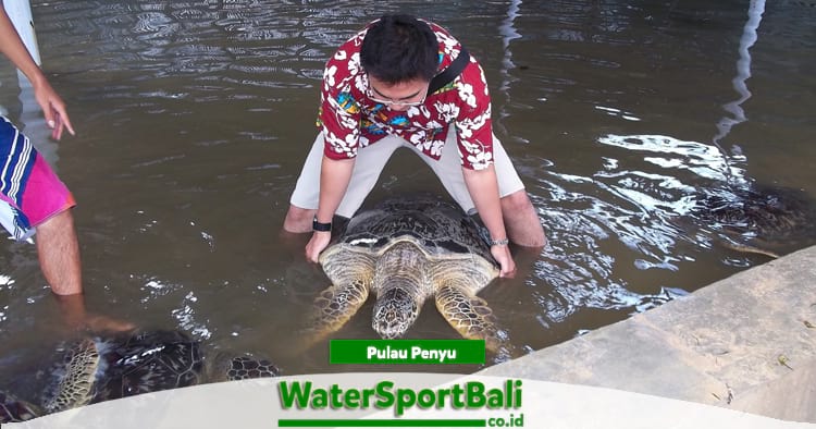 Pulau Penyu Tanjung Benoa